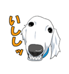 ウチのナマモノ2～ボルゾイと仲間たち（個別スタンプ：2）