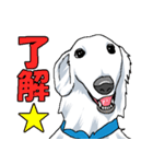 ウチのナマモノ2～ボルゾイと仲間たち（個別スタンプ：5）