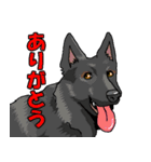 ウチのナマモノ2～ボルゾイと仲間たち（個別スタンプ：7）