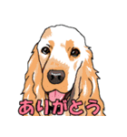 ウチのナマモノ2～ボルゾイと仲間たち（個別スタンプ：13）