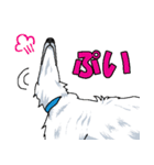 ウチのナマモノ2～ボルゾイと仲間たち（個別スタンプ：19）