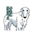 ウチのナマモノ2～ボルゾイと仲間たち（個別スタンプ：20）