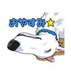 ウチのナマモノ2～ボルゾイと仲間たち（個別スタンプ：23）