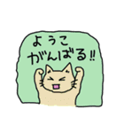 ようこ専用ねこスタンプ（個別スタンプ：10）