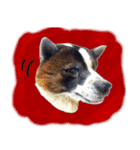 MILO DOG（個別スタンプ：4）
