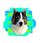 MILO DOG（個別スタンプ：6）