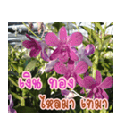 orchids thai3（個別スタンプ：22）