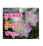 orchids thai3（個別スタンプ：31）