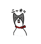 Middle aged man face（個別スタンプ：29）