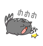 Kitten 3Tail（個別スタンプ：17）