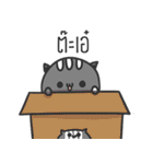 Kitten 3Tail（個別スタンプ：22）