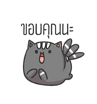 Kitten 3Tail（個別スタンプ：24）