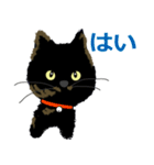 I am Sachi☆LOVE☆かわいい猫（個別スタンプ：2）