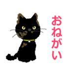 I am Sachi☆LOVE☆かわいい猫（個別スタンプ：6）
