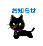 I am Sachi☆LOVE☆かわいい猫（個別スタンプ：8）
