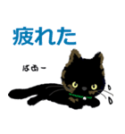 I am Sachi☆LOVE☆かわいい猫（個別スタンプ：13）