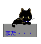 I am Sachi☆LOVE☆かわいい猫（個別スタンプ：16）