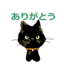 I am Sachi☆LOVE☆かわいい猫（個別スタンプ：21）