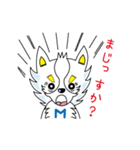 ミラクル犬 ミュー（個別スタンプ：24）