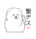 HIJIRI（個別スタンプ：1）