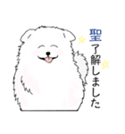 HIJIRI（個別スタンプ：4）