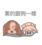 S.B.T PIG（個別スタンプ：11）