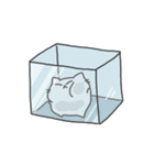 MarshCat（個別スタンプ：33）