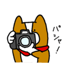 犬と男（個別スタンプ：18）