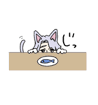 獣耳紳士スタンプ（個別スタンプ：12）