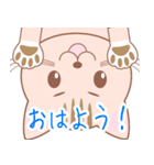 【猫】可愛い2匹のネコスタンプ（個別スタンプ：3）