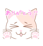 【猫】可愛い2匹のネコスタンプ（個別スタンプ：5）