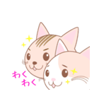 【猫】可愛い2匹のネコスタンプ（個別スタンプ：7）