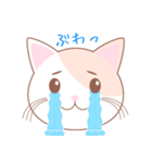 【猫】可愛い2匹のネコスタンプ（個別スタンプ：10）