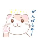【猫】可愛い2匹のネコスタンプ（個別スタンプ：14）
