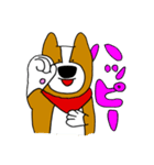 犬と男 3（個別スタンプ：1）