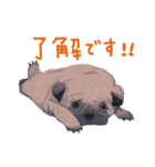 いやされどうぶつたち（個別スタンプ：18）