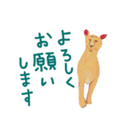いやされどうぶつたち（個別スタンプ：22）