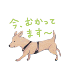 いやされどうぶつたち（個別スタンプ：38）