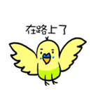 polar bear 1（個別スタンプ：19）