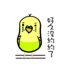 polar bear 1（個別スタンプ：20）