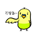 polar bear 1（個別スタンプ：24）