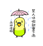 polar bear 1（個別スタンプ：25）