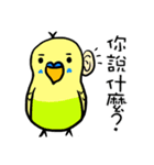 polar bear 1（個別スタンプ：29）