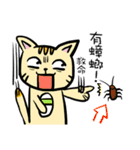polar bear 1（個別スタンプ：37）