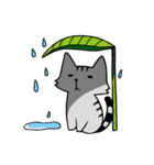 YIREN CAT [daily]（個別スタンプ：1）