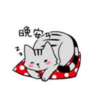 YIREN CAT [daily]（個別スタンプ：5）