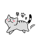YIREN CAT [daily]（個別スタンプ：6）