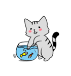 YIREN CAT [daily]（個別スタンプ：13）