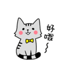 YIREN CAT [daily]（個別スタンプ：14）