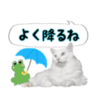 ふわふわ白猫もち兄さんと愉快な弟たち・4（個別スタンプ：23）